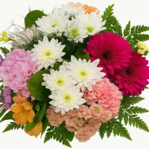 Ram reflex de natura