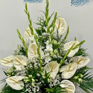 Centre blanc anthuriums