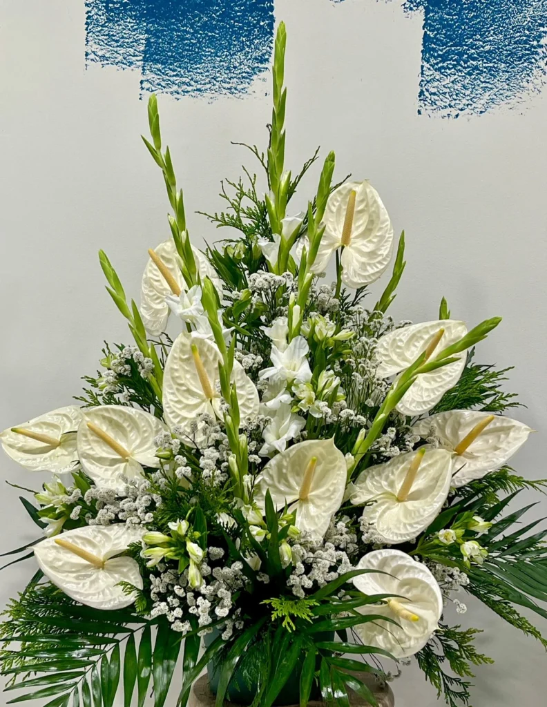 Centre blanc anthuriums