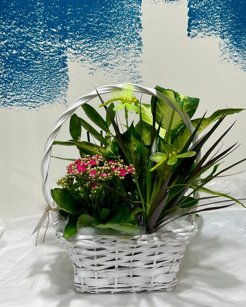 Cistella de plantes petita