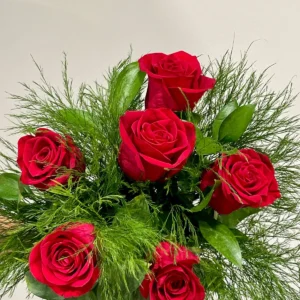 Mitja dotzena de roses