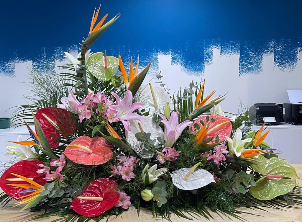 Centro Anthurium
