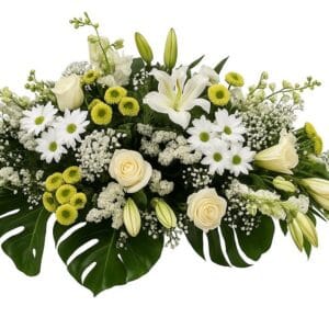 Coixí Silenci Blanc