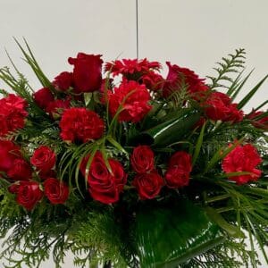 Coixí Vermell Profund