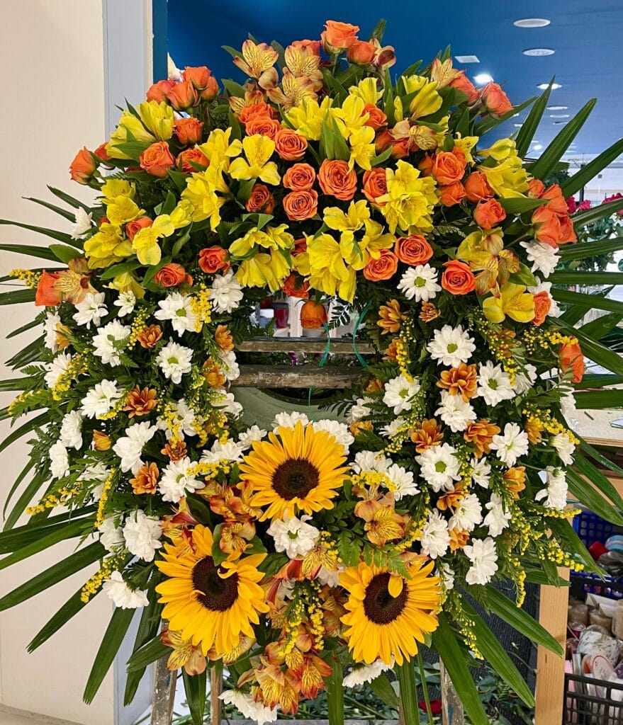 Corona Groga