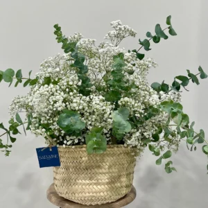 Cesta Paniculata eucalipto