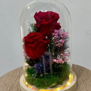 Descobreix la cúpula amb dues roses preservades vermelles, il·luminada amb LED càlid. Regal durador, simbòlic i decoratiu per a ocasions especials. Enviament des d’Andorra.