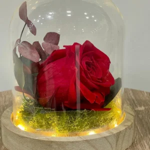 Cúpula Rosa Eterna Amb Llum