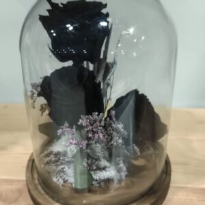 Cúpula amb tres Roses Eternes