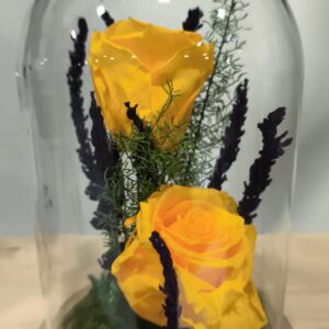 Cúpula dues Roses Eternes