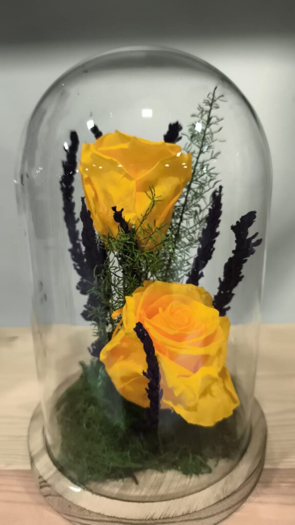Cúpula dues Roses Eternes